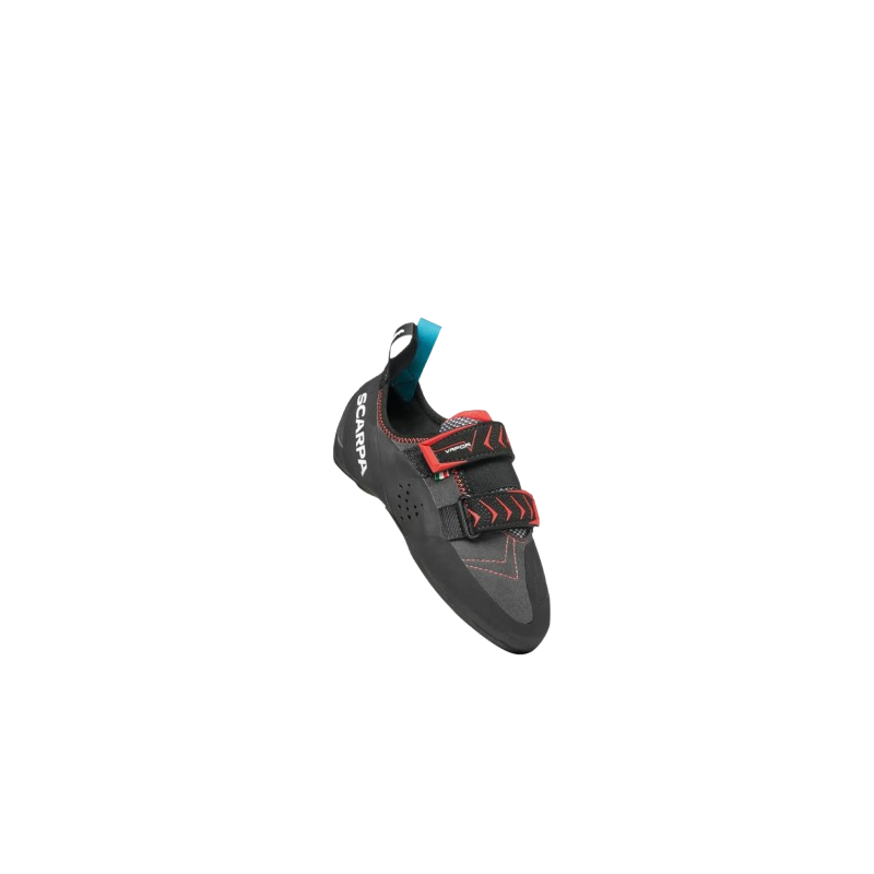 image-removebg-preview_-_2025-02-25T114018_475