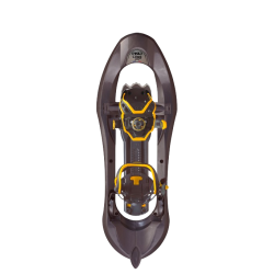 image-removebg-preview-8