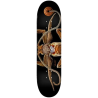 Planche "DK PP BISS FLIGHT 243 K20 Marion Moth" 8.25