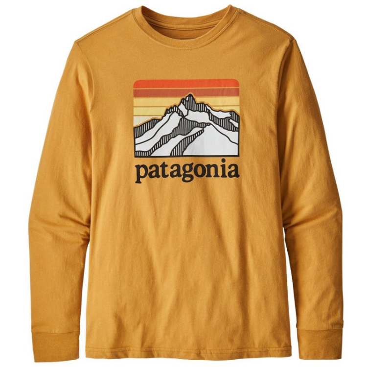Tee-shirt Patagonia "Long sleeved graphic organic t-shirt" - Enfant