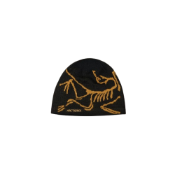 Bonnet Arc'teryx "Bird Head Toque"