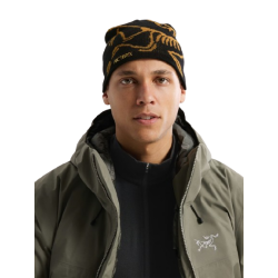 Bonnet Arc'teryx "Bird Head Toque"
