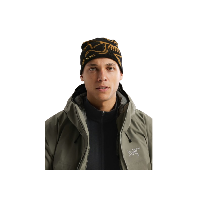 Bonnet Arc'teryx "Bird Head Toque"