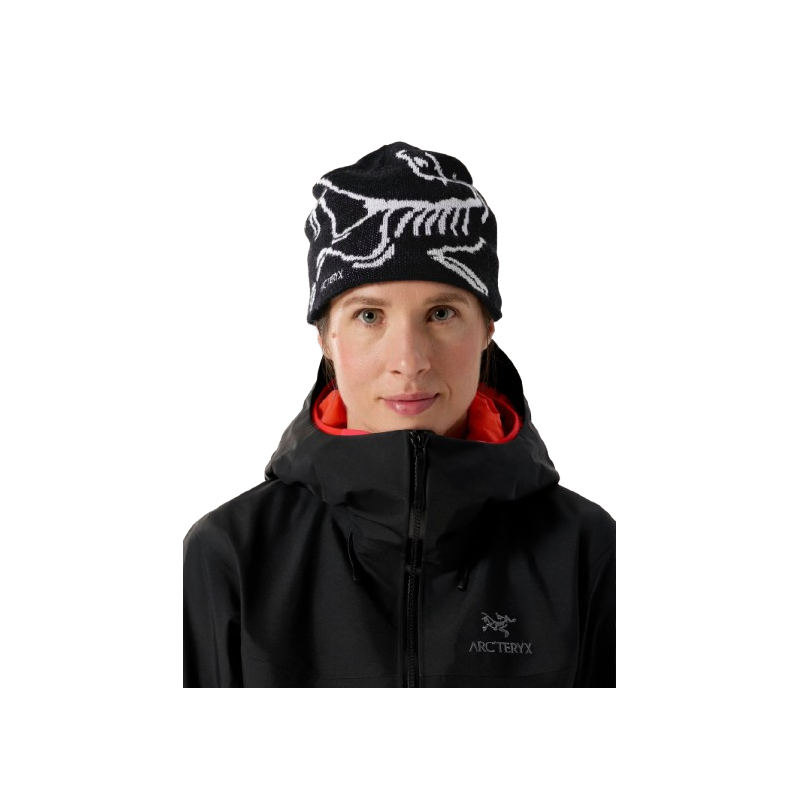 Bonnet Arc'teryx "Bird Head Toque"