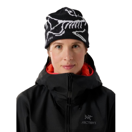 Bonnet Arc'teryx "Bird Head Toque"